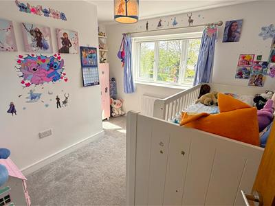Picture 22